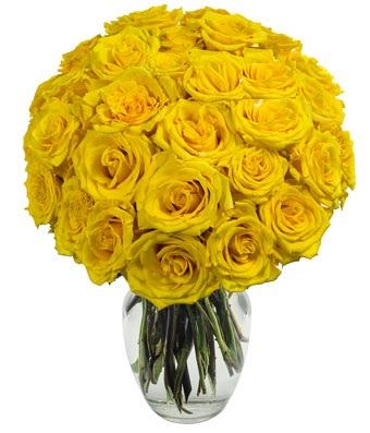 24 Yellow Roses Bouquet 