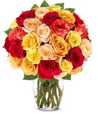 24 Rainbow Roses Bouquet